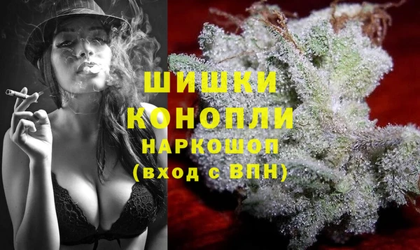 ешки Аркадак